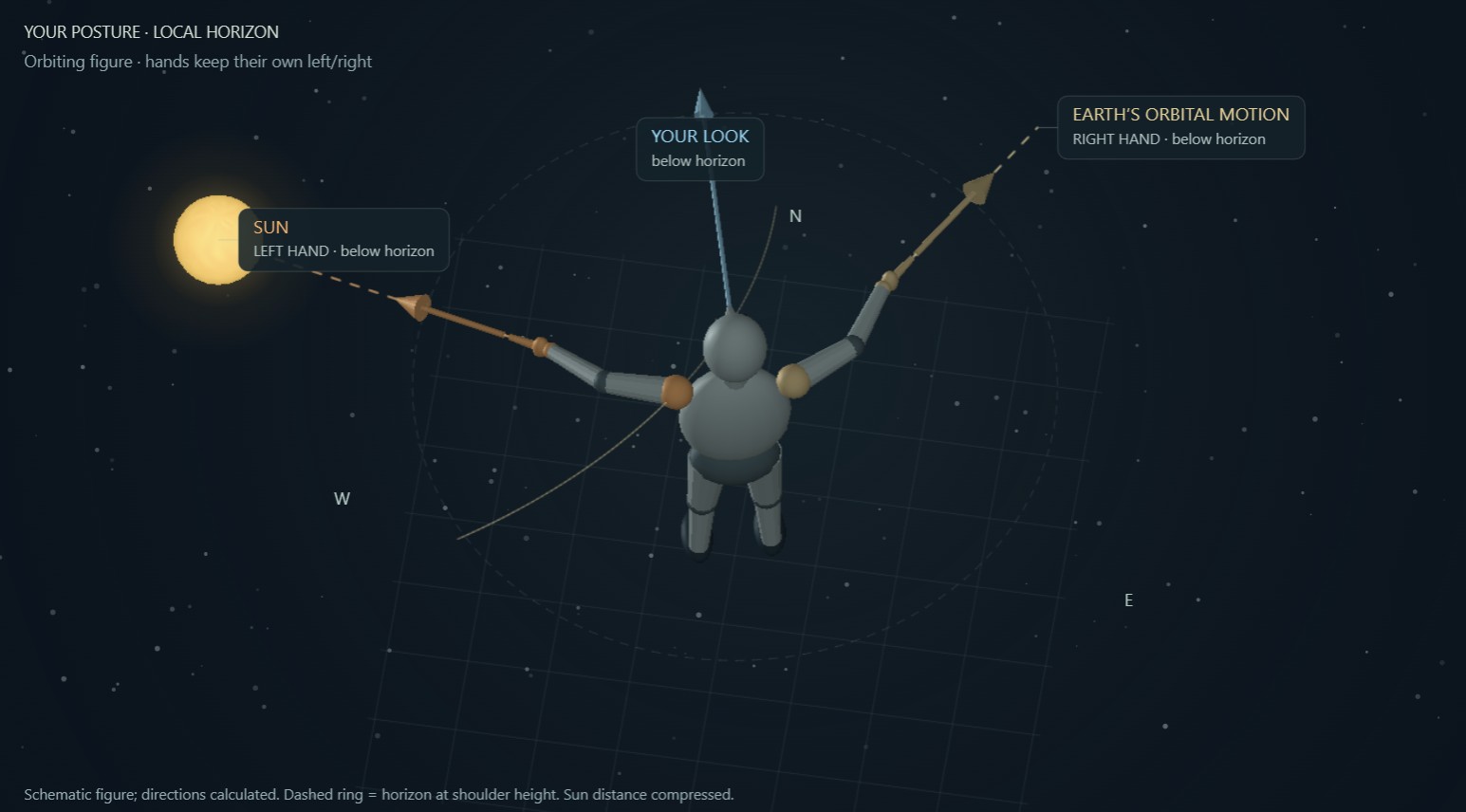 A schematic figure viewed from behind: a blue gaze arrow, one hand pointing toward an illustrated Sun, and the other along Earth’s orbital motion. The horizon ring gives local context.